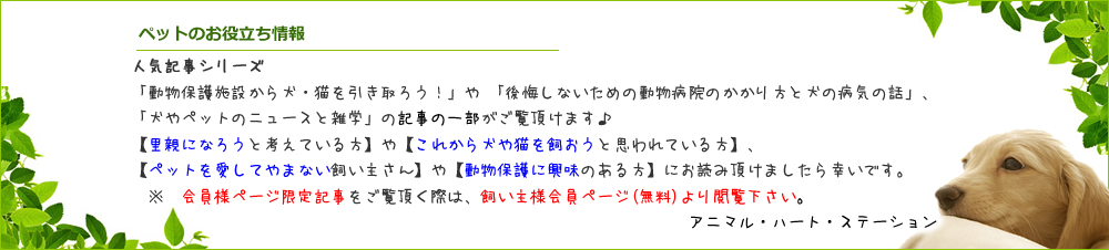 人気記事シリーズ 「動物保護施設から犬や猫の里親になろう！」や「後悔しないための動物病院の選び方」「弁護士に聞くペットのトラブル相談」等、記事の一部がご覧頂けます。全ての記事または会員様ページ限定記事をご覧頂く際には、飼い主様会員ページ(無料)よりご覧下さい。