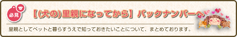 里親として犬や猫、ペットと暮らすうえで知っておきたい事についてまとめおります。「(犬の)里親になってから」バックナンバーはこちら