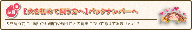 犬を飼う前に、飼いたい理由や飼うことの現実について考えてみませんか？「犬を初めて飼う方へ」バックナンバーへ