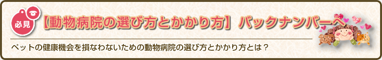 ペットの健康機械を損なわないための良い動物病院の選び方とかかり方にまつわる「動物病院の選び方とかかり方」バックナンバーへ