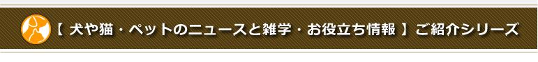 後悔しないための動物病院のかかり方・選び方と犬や猫の病気の話のご紹介中のシリーズ