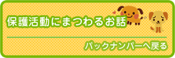 犬や猫の保護活動にまつわるお話バックナンバーへ戻る
