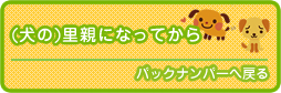犬や猫の里親になってからバックナンバーへ戻る
