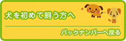 犬を初めて飼う方へ注意してほしいこと。バックナンバーはこちら