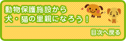 動物保護施設や保健所から犬・猫を引きとって里親になろう