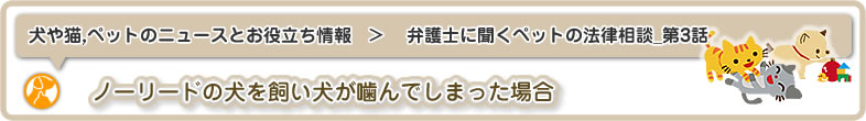 犬や猫,ペットのニュースと雑学・お役立ち情報：弁護士に聞くペットのトラブル・法律相談_第3話はノーリードの犬を飼い犬が噛んでしまった場合の対処方法編です