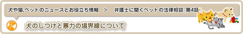 犬や猫,ペットのニュースと雑学・お役立ち情報：弁護士に聞くペットのトラブル・法律相談_第4話は犬のしつけと暴力の線引きについてです