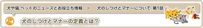 犬や猫,ペットのニュースと雑学・お役立ち情報：犬のしつけとマナーについて_第1話は犬のしつけとマナーの定義とは？についてです