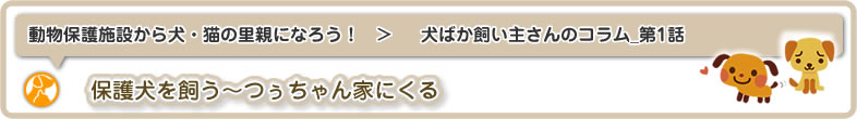 動物保護施設から犬・猫の里親になろう！：それでもやっぱり愛おしい！！犬ばか飼い主さんのコラム_第1話は保護犬を飼う～つぅちゃん家にくるについてです
