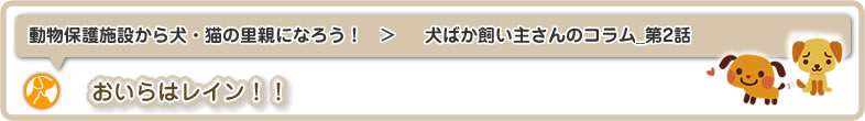 動物保護施設から犬・猫の里親になろう！：それでもやっぱり愛おしい！！犬ばか飼い主さんのコラム_第2話はおいらはレイン！！です