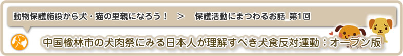 動物保護施設から犬・猫の里親になろう！：保護活動にまつわるお話_第1回は、中国の楡林市(玉林市：ユリン市またはユーリン市)で行われている犬食祭
と犬食反対運動について日本人が理解すべきことについてです