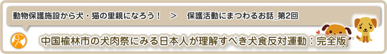 動物保護施設から犬・猫の里親になろう！：保護活動にまつわるお話_第2回は、中国の楡林市(玉林市：ユリン市またはユーリン市)で行われている犬食祭
と犬食反対運動について日本人が理解すべきことについての完全版です