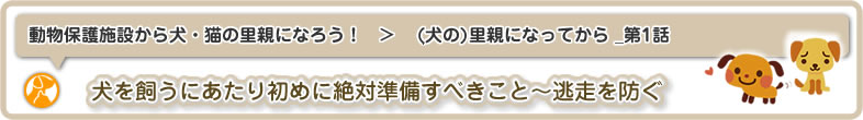 動物保護施設から犬・猫の里親になろう！：犬の里親になってから_第1回は、犬を飼うにあたり初めに絶対準備すべきこと～逃走を防ぐです。犬の飼い方について考えていきます。