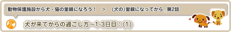 動物保護施設から犬・猫の里親になろう！：犬の里親になってから_第2回は、犬が来てからの過ごし方～1-3日目です。犬の飼い方について考えていきます。