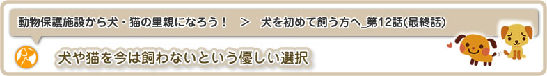 動物保護施設から犬・猫の里親になろう！：犬を初めて飼う方へ12(最終話)は、犬や猫を飼わない優しい選択です