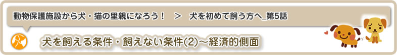 動物保護施設から犬・猫の里親になろう！：犬を初めて飼う方へ5は犬を飼える条件・飼えない条件(2)～経済的側面についてです