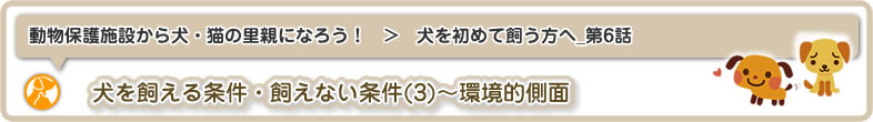 動物保護施設から犬・猫の里親になろう！：犬を初めて飼う方へ5は犬を飼える条件・飼えない条件(3)～環境的側面についてです
