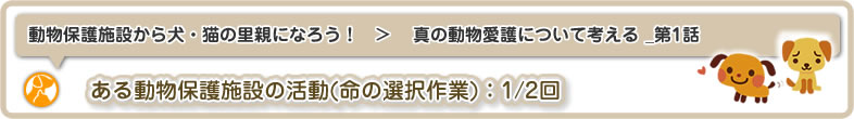 動物保護施設から犬・猫の里親になろう！：真の動物愛護について考える_第1話はある動物保護施設の活動～命の選択作業(1/2回)についてです