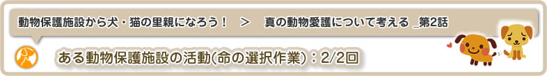動物保護施設から犬・猫の里親になろう！：真の動物愛護について考える_第2話はある動物保護施設の活動～命の選択作業(2/2回)についてです