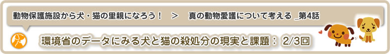 動物保護施設から犬・猫の里親になろう！：真の動物愛護について考える_第4話は環境省のデータから残された課題について知っておくべきこと(2/2回)についてです
