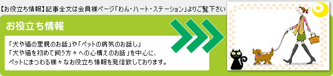 「犬や猫の里親のお話」や「ペットの病気のお話し」「犬や猫を初めて飼う方々への心構えのお話」を中心に、ペットにまつわる様々なお役立ち情報を発信致しております。