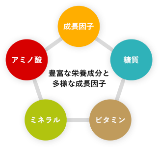 栄養価と希少価値が非常に高いウマ由来を使用