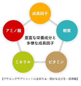 プラセンタサプリメントに含まれる一般的な成分を一部掲載